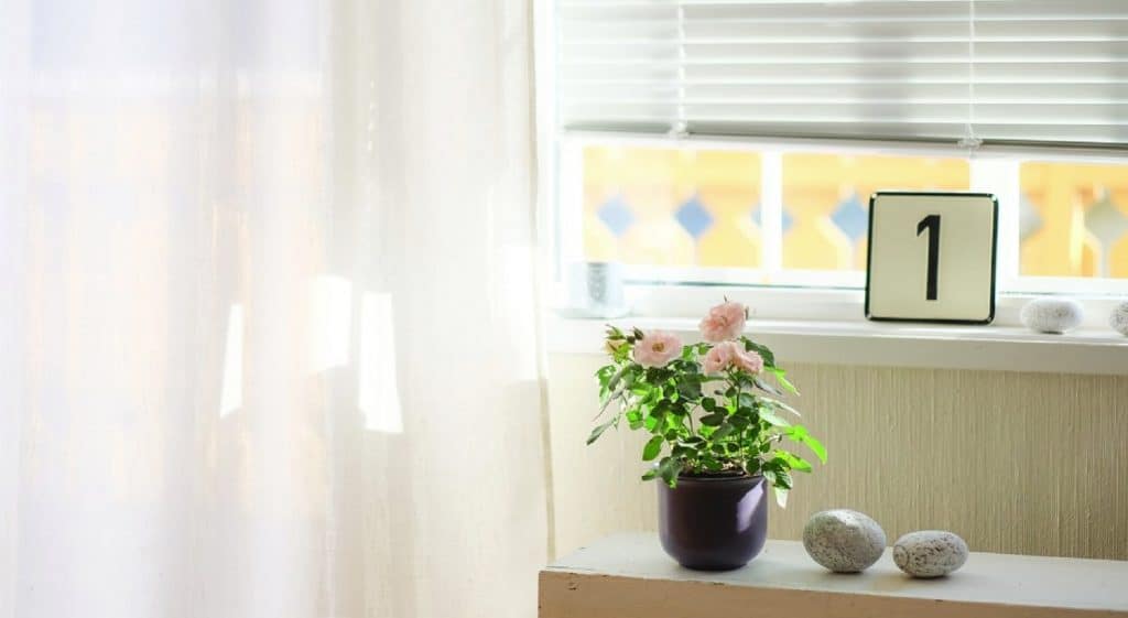 Habillage des fenêtres les stores et voilages