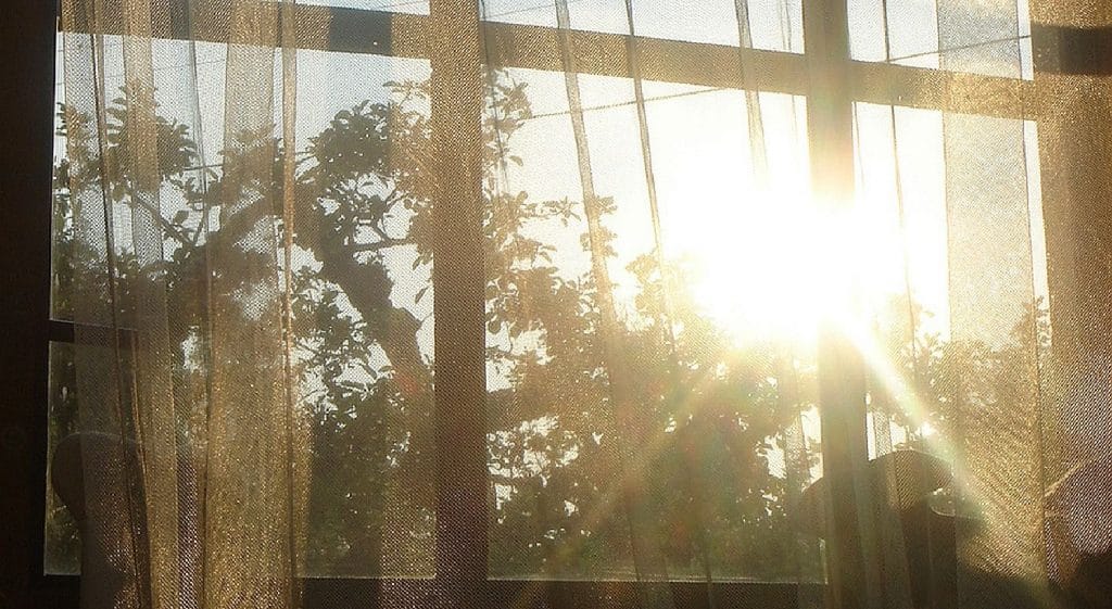 nettoyage de printemps