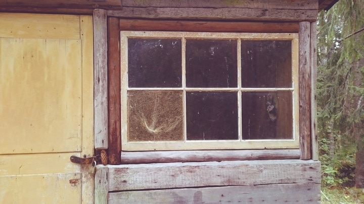 des vieilles fenêtres dans le jardin